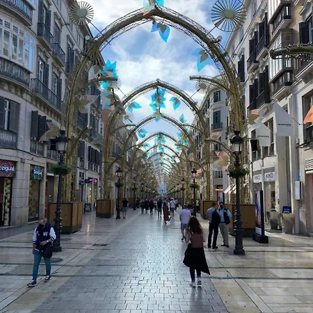 Marques De Larios Centro Historico Διαμέρισμα *